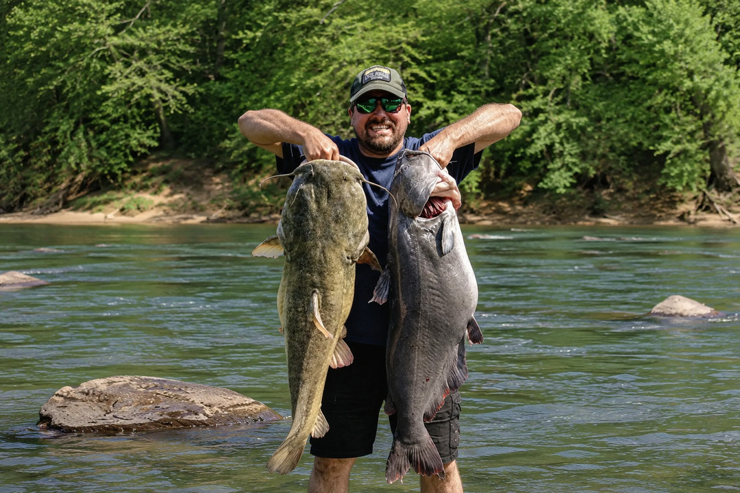 Blue and flathead catfish